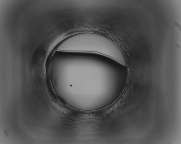 X0000093170246200709261101
