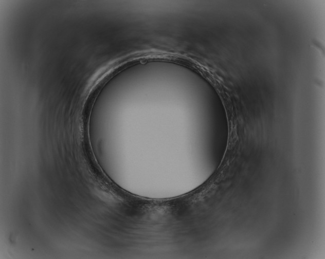 X0000093170247200709261101