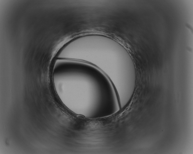 X0000093170248200709261101