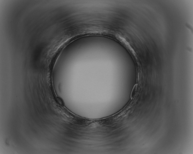 X0000093170249200709261101
