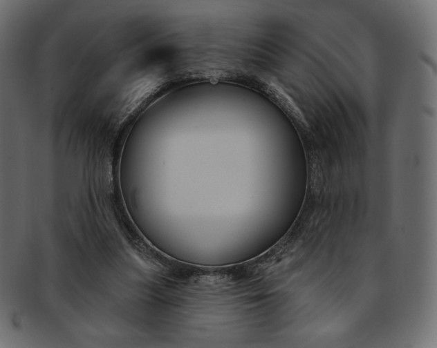 X0000093170251200709261101