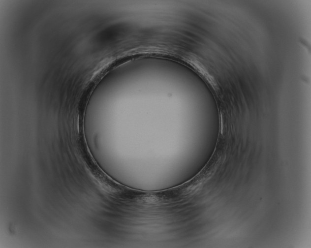 X0000093170253200709261102
