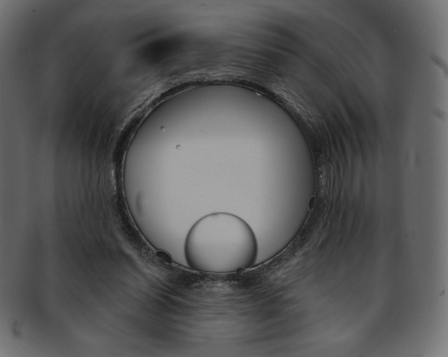 X0000093170254200709261102