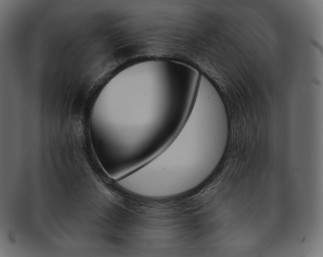 X0000093170256200709261102