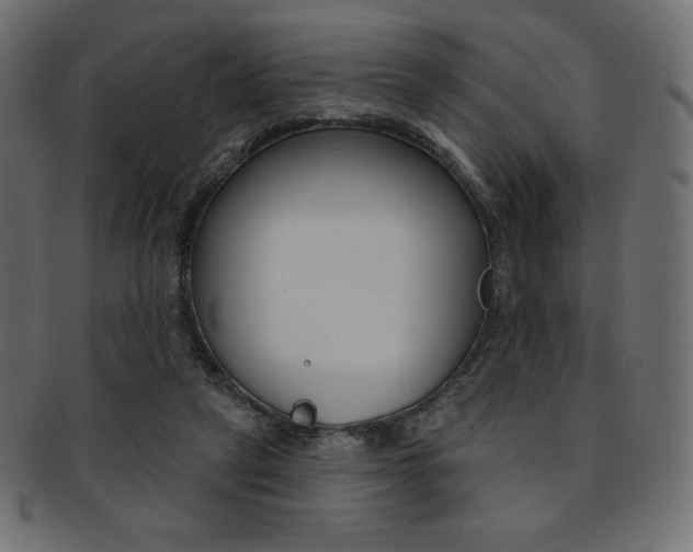 X0000093170257200709261102