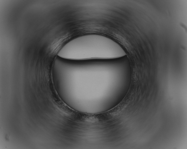 X0000093170258200709261102