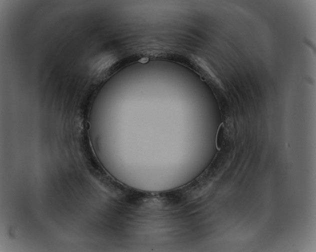 X0000093170259200709261102