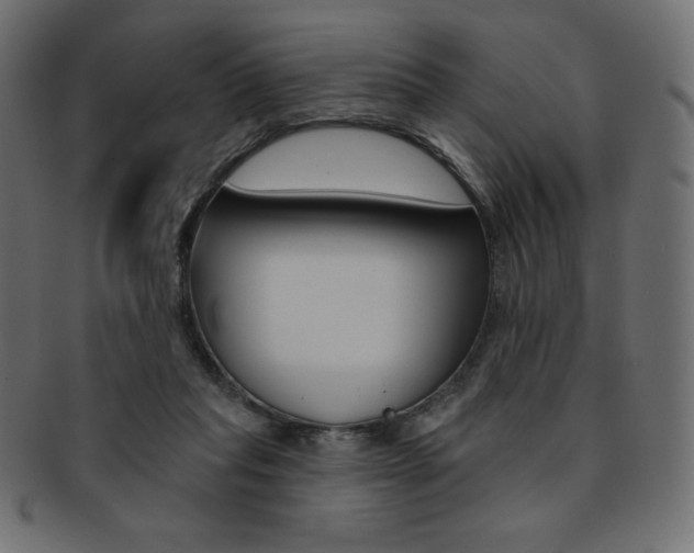 X0000093170261200709261102