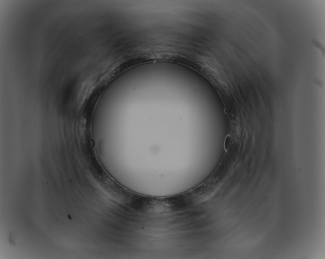 X0000093170263200709261102