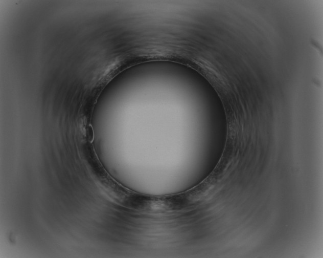X0000093170264200709261102