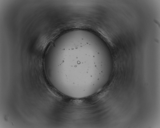 X0000093170265200709261102