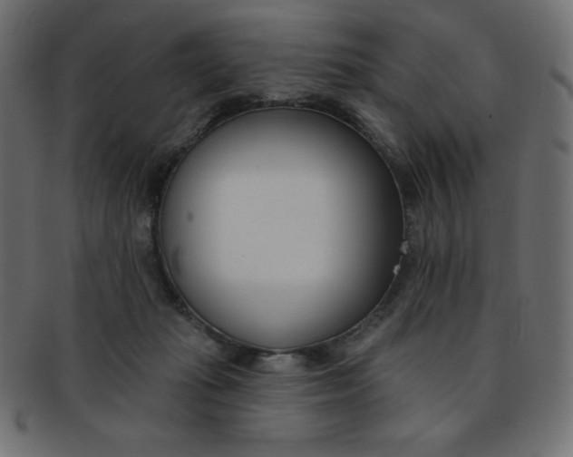 X0000093170269200709261102