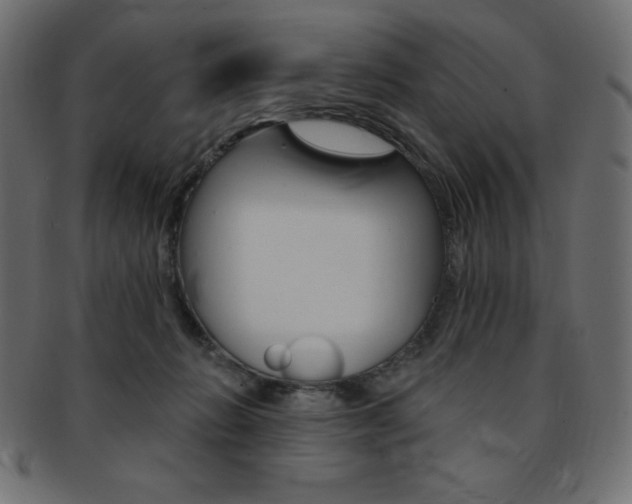 X0000093170270200709261102
