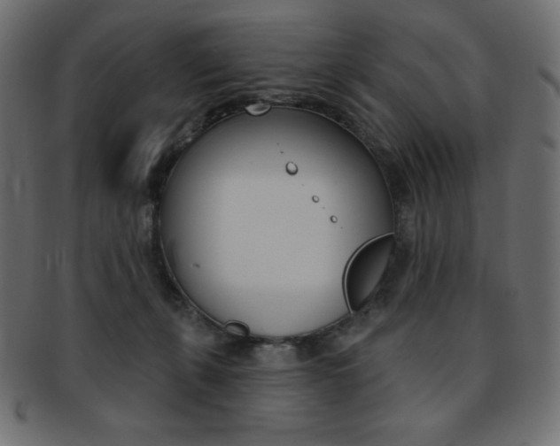 X0000093170271200709261102