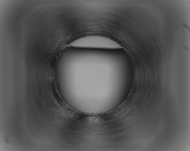 X0000093170272200709261102