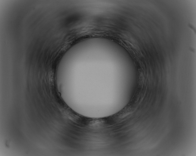 X0000093170274200709261102