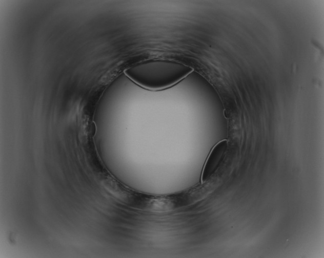 X0000093170275200709261102