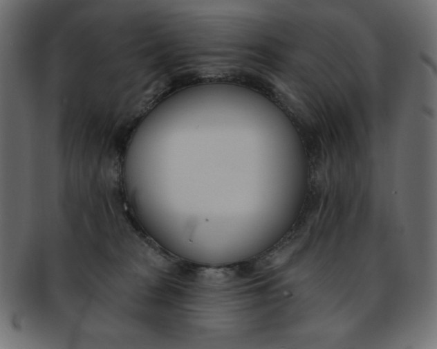 X0000093170277200709261102