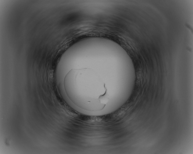 X0000093170278200709261102