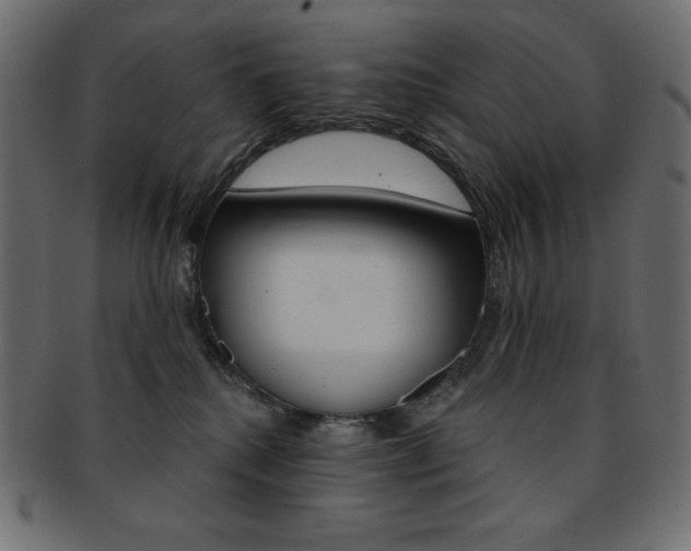 X0000093170280200709261102