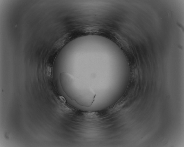 X0000093170281200709261102