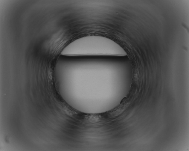 X0000093170282200709261102