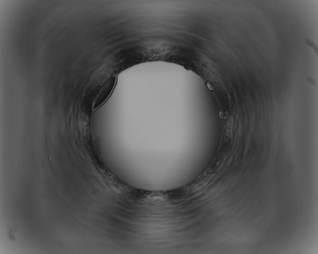 X0000093170283200709261102