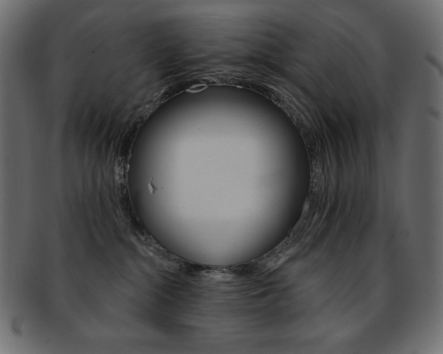 X0000093170284200709261102