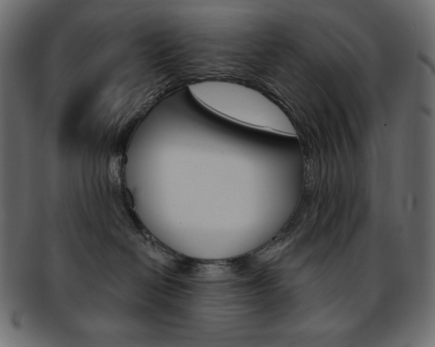 X0000093170286200709261102