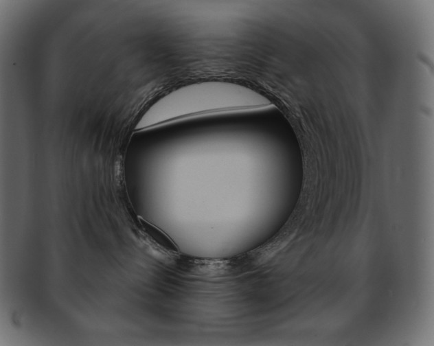 X0000093170288200709261102