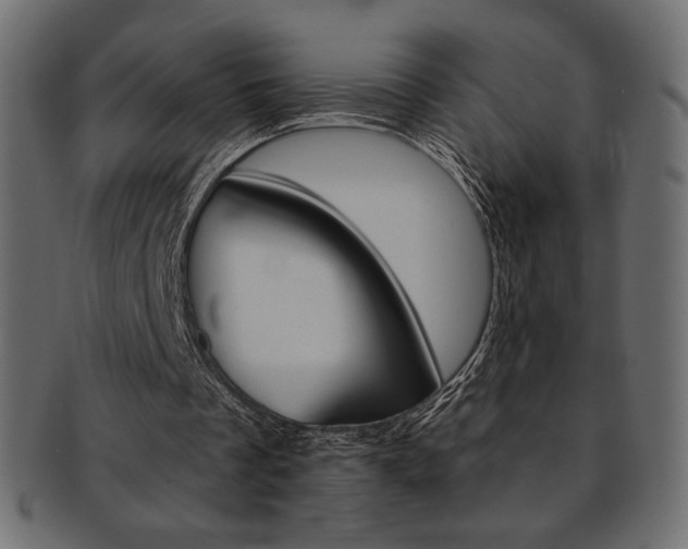 X0000093170289200709261101