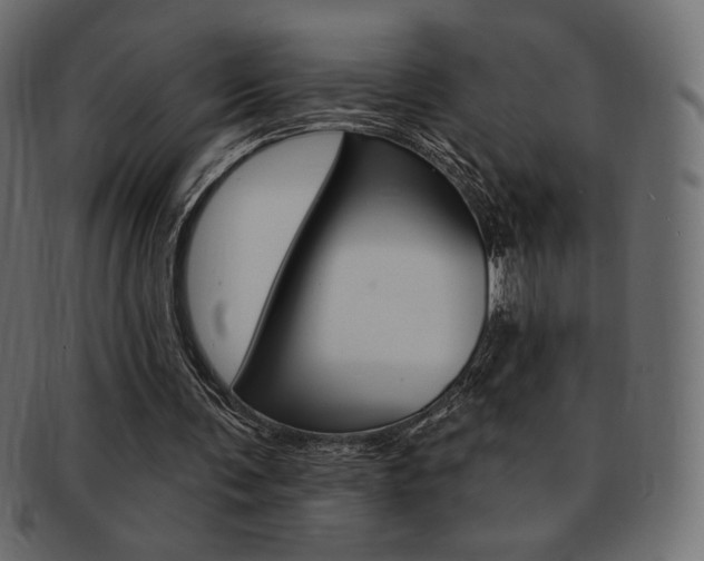 X0000093170291200709261101
