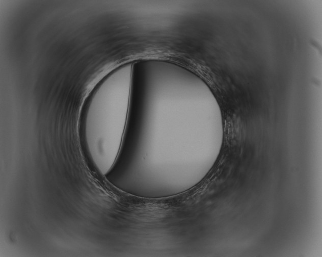 X0000093170292200709261101