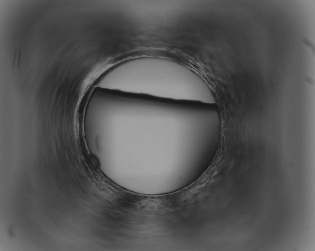 X0000093170294200709261101