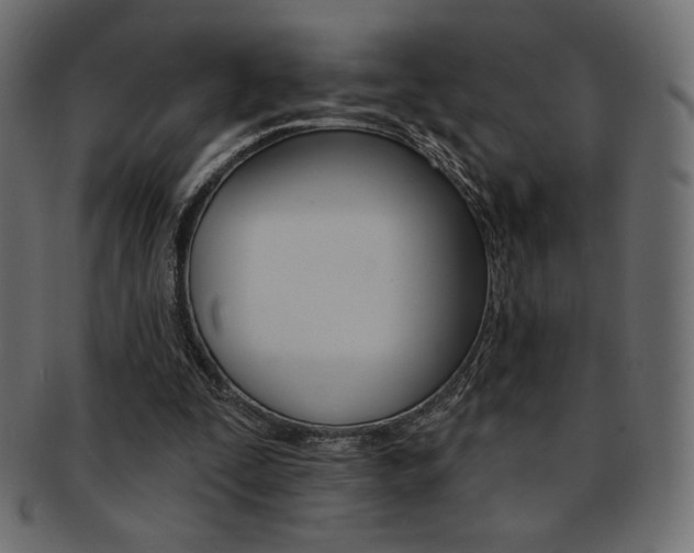 X0000093170295200709261101