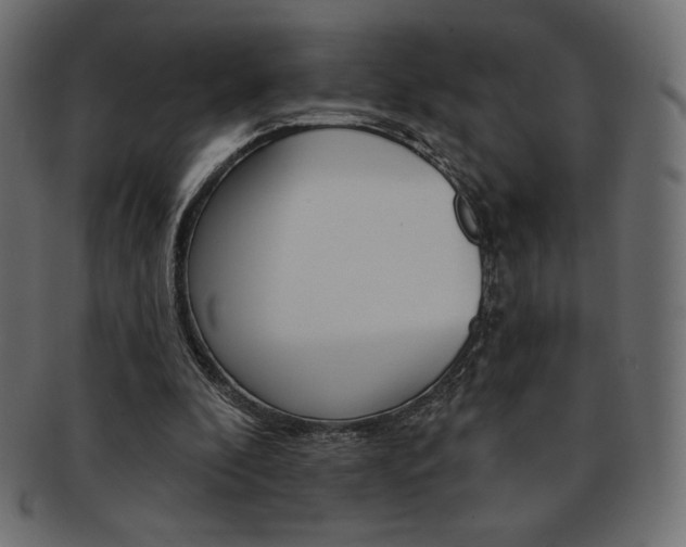 X0000093170296200709261101