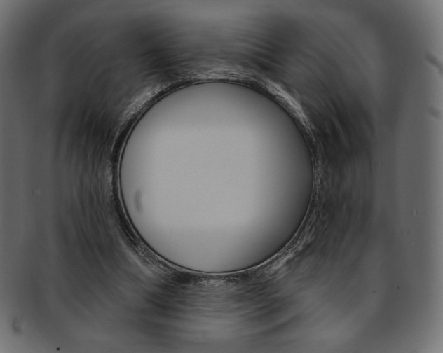 X0000093170298200709261101
