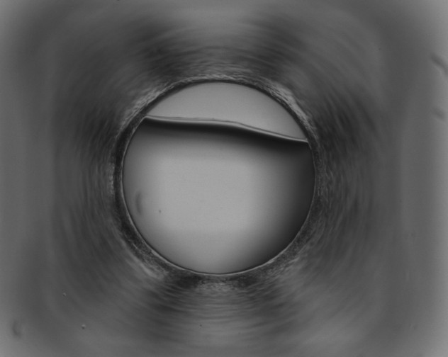 X0000093170299200709261101