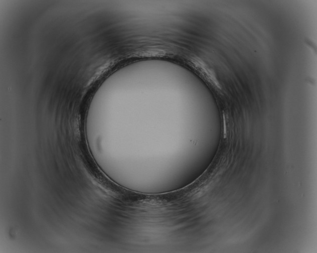 X0000093170300200709261101