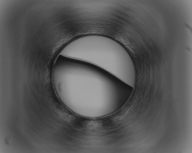 X0000093170303200709261101