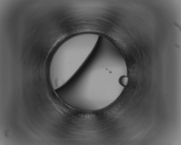 X0000093170304200709261101