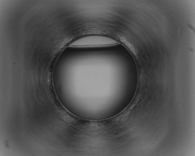 X0000093170305200709261101
