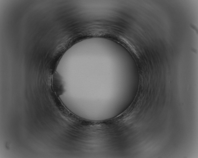 X0000093170307200709261101