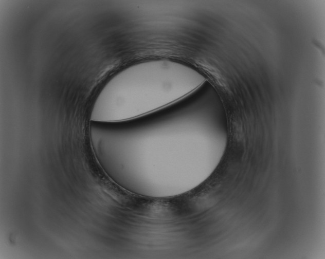 X0000093170308200709261101