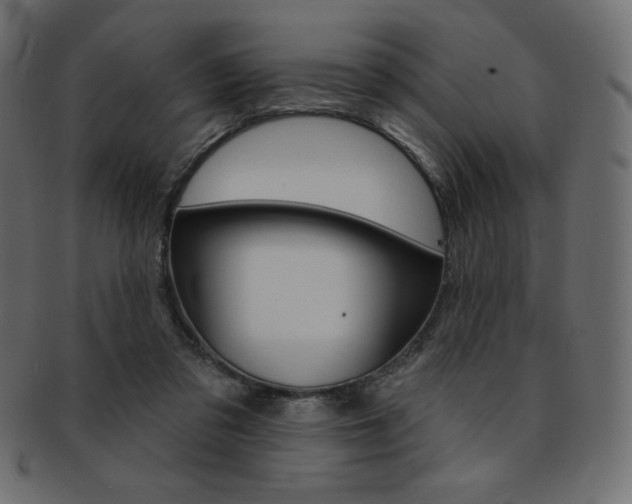X0000093170309200709261101