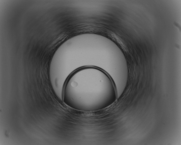 X0000093170313200709261101