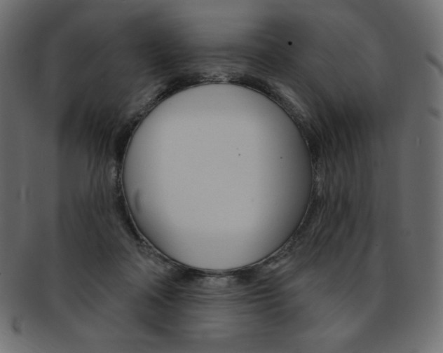 X0000093170314200709261101
