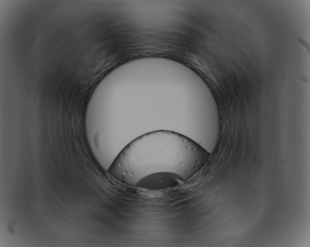 X0000093170317200709261101