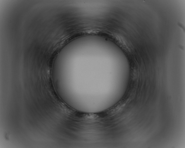 X0000093170321200709261101