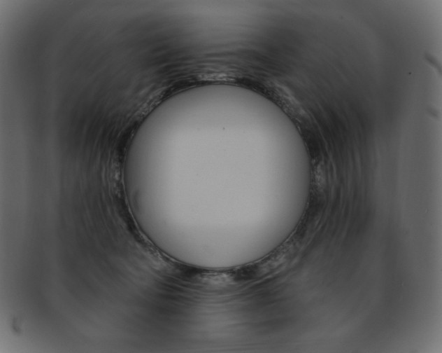 X0000093170322200709261101